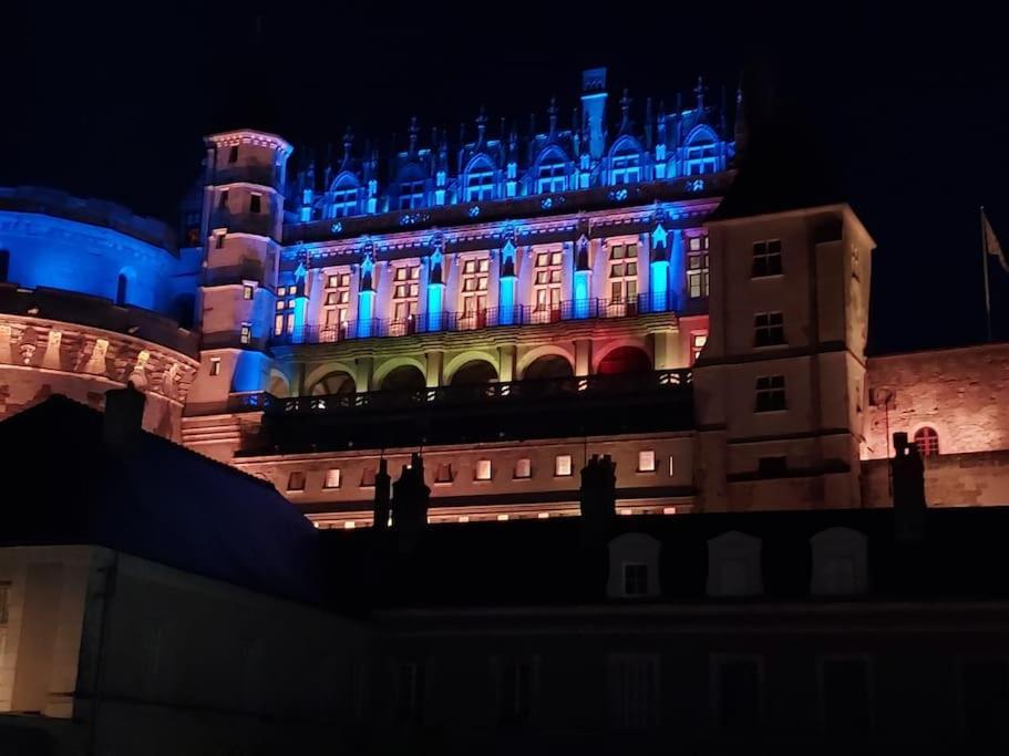 Le Concorde En Plein Centre Daire Amboise Dış mekan fotoğraf