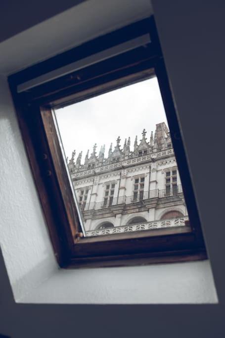 Le Concorde En Plein Centre Daire Amboise Dış mekan fotoğraf